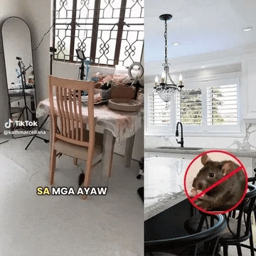 STONEMART - Rat Repellent Spray For Car and Home